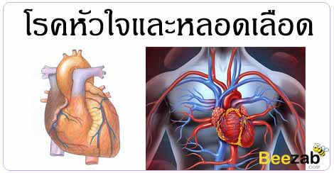 โรคหัวใจ โรคหลอดเลือด โรคหัวใจและหลอดเลือด โรคไม่ติดต่อ