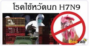 ไข้หวัดนก H7N9 โรคติดต่อ โรคทางเดินหายใจ