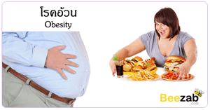 โรคอ้วน ภาวะน้ำหนักตัวเกิน โรคไม่ติดต่อ ภาวะอ้วน