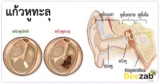 แก้วหูทะลุ โรคหูคอจมูก การรักษาแก้วหูทะลุ โรคหู